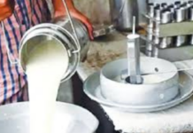 Andhra Milk Tragedy: આંધ્રમાં ‘સફેદ ઝેર’નો કહેર: નકલી દૂધ પીવાથી 16 નિર્દોષોના મોત, હજુ 3 દર્દી ICUમાં જિંદગી અને મરણ વચ્ચે Milk Tragedy