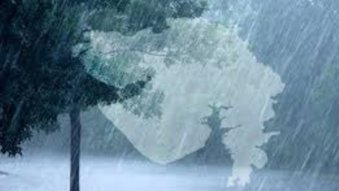 Rain Scare in Gujarat