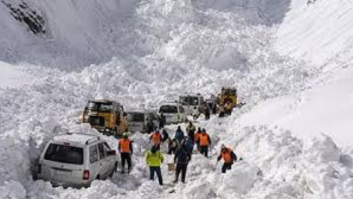 Tragedy on Srinagar-Leh Highway