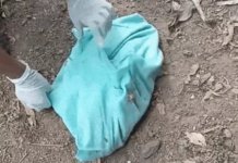 Horror in Vadodara: વડોદરામાં પાષાણ હૃદયી માતા-પિતાનું કૃત્ય નાળ સાથે નવજાત બાળકીને રસ્તા પર તરછોડી, માસૂમનું મોત Horror in Vadodara