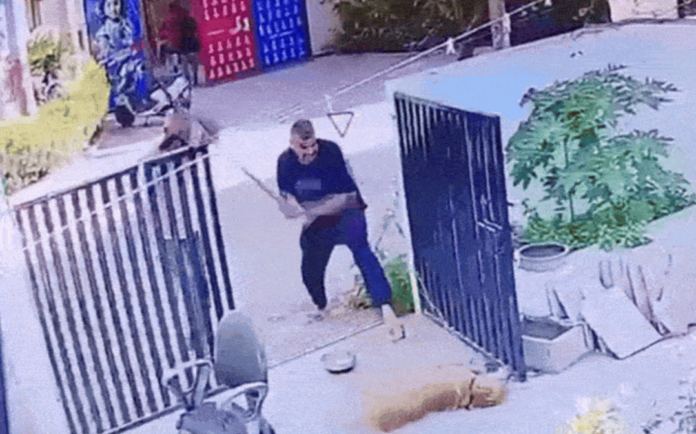 Shocking Cruelty