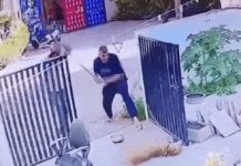 Shocking Cruelty: રાજકોટમાં ક્રૂરતાની પરાકાષ્ઠા માત્ર 21 સેકન્ડમાં શ્વાન પર 26 ઘા, પિતા-પુત્રની હેવાનીયત CCTVમાં કેદ Shocking Cruelty