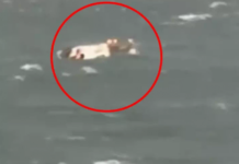 Tragedy in Jabalpur: જબલપુર બરગી ડેમમાં વાવાઝોડાને કારણે ક્રૂઝ પલટી ગયું, 4નાં મોત, બચાવ કામગીરી ચાલુ Tragedy in Jabalpur