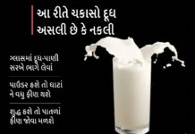 Surat to Get ₹50 Crore High-Tech Lab: સુરતને મોટી ભેટ 50 કરોડના ખર્ચે બનશે હાઈટેક લેબ, હવે ગણતરીની સેકન્ડોમાં પકડાશે દૂધ અને દવામાં ભેળસેળ Surat to Get ₹50 Crore High-Tech Lab