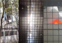 Surat Textile Hub on Fire: મિલેનિયમ માર્કેટમાં ભીષણ આગથી અફરાતફરી, ધુમાડાના ગોટેગોટા વચ્ચે 3 દુકાનો ખાખ Surat Textile Hub on Fire