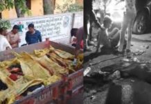 Tragedy on Lakhtar-Viramgam Highway: લખતર-વિરમગામ હાઈવે પર રક્તરંજિત સવાર: ડમ્પરે પદયાત્રીઓને કચડ્યા, એક જ પરિવારના 7 સભ્યોના કરુણ મોત Tragedy on Lakhtar