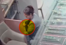 Massive Heist in Ahmedabad: ‘સ્માઈલ’ આપીને સેલ્સ ગર્લ 1.66 કરોડનું સોનું સેરવી ગઈ, CCTVમાં કેદ થઈ ચોરીની લાઇવ ઘટના Massive Heist in Ahmedabad
