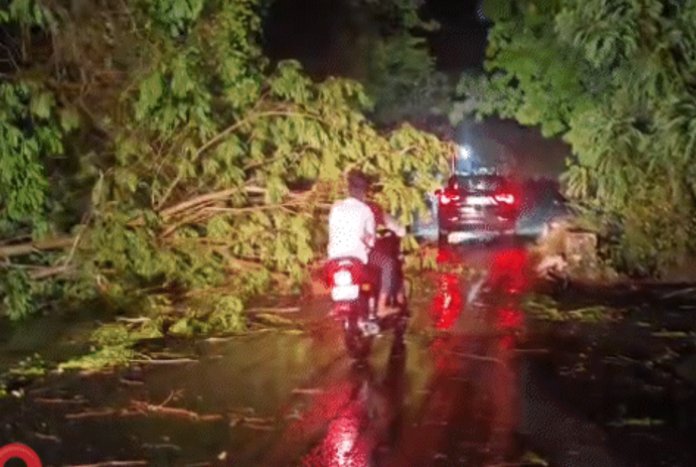 Pre-Monsoon Rain Lashes Gujarat