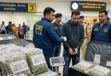 Major Drug Bust at Surat Airport: સુરત એરપોર્ટ પર DRIનો મોટો સપાટો ₹2.80 કરોડનો હાઈબ્રિડ ગાંજો ઝડપાયો Major Drug Bust at Surat Airport