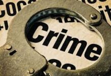 Vadodara Crime: અંકોડીયા વિસ્તારમાં યુવતી હત્યાકાંડનો ભેદ ઉકેલાયો, અન્ય યુવક સાથે અફેરની શંકા અને મોબાઈલ પાસવર્ડ ન આપતા પ્રેમીએ જ ગળું દબાવી પતાવી દીધી Vadodara Crime