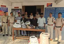 Mega Gold Bust: છત્તીસગઢમાં ગુજરાતના તસ્કરોનો મોટો પર્દાફાશ કારની સિક્રેટ ચેમ્બરમાંથી ₹9 કરોડનું સોનું ઝડપાયું, અંબિકાપુરમાં 95 કિલો ચાંદી જપ્ત! Mega Gold Bust