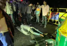 Tragedy Near Shankheshwar: શંખેશ્વર પાસે કાળમુખો અકસ્માત સ્પોર્ટ્સ બાઇક અને રિક્ષા વચ્ચેની ટક્કરમાં બે લોકોના કમકમાટીભર્યા મોત Tragedy Near Shankheshwar