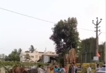 Valsad Shocker: વલસાડમાં ભયનો માહોલ: જાહેરમાં યુવકને લાતો અને ઢીકાપાટુનો માર મારતો વીડિયો સોશિયલ મીડિયામાં વાયરલ. Valsad Shocker