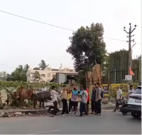 Valsad Shocker Valsad Shocker