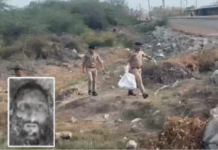 Amreli Lioness Horror: અમરેલીમાં સિંહણનો આતંક, યુવકનું માથું ધડથી અલગ કરી આખું શરીર ખાઈ ગઈ; સ્થાનિકોમાં ભારે રોષ Amreli Lioness Horror