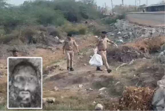 Amreli Lioness Horror Amreli Lioness Horror