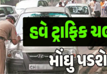 Traffic Rules Tightened: વાહનચાલકો સાવધાન, વર્ષમાં 5થી વધુ ચલણ ફાટશે તો લાયસન્સ થશે સસ્પેન્ડ, કેન્દ્ર સરકારના નિયમોમાં મોટો ફેરફાર Traffic Rules Tightened