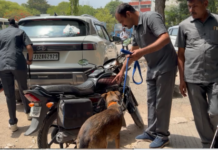 Bomb Scare in Jamnagar: જામનગરમાં હડકંપ: મહાનગરપાલિકાની બિલ્ડિંગમાં બોમ્બ હોવાનો ઈ-મેલ મળતા તંત્ર દોડતું થયું, સુરક્ષા એજન્સીઓ દ્વારા સઘન સર્ચ ઓપરેશન Bomb Scare in Jamnagar