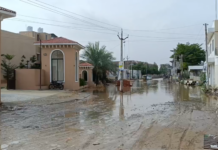 Palanpur Rain Update: પાલનપુરના ગઠામણ પાટિયા નજીક માત્ર સામાન્ય વરસાદમાં ભરાયા બે ફૂટ પાણી, સ્કૂલે જતા બાળકો અને વાહનચાલકો અટવાયા Palanpur Rain Update