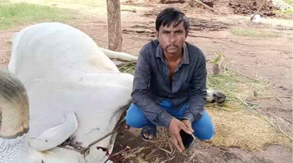 Kheda Breaking