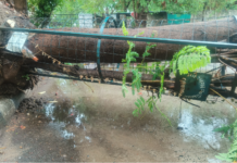 Mahisagar Rain Update: મહીસાગર જિલ્લામાં મેઘમહેર, વીજળીના કડાકા-ભડાકા સાથે સાર્વત્રિક વરસાદ, સમગ્ર પંથક ઠંડરોગાર Mahisagar Rain Update