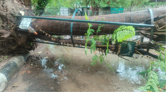 Mahisagar Rain Update Mahisagar Rain Update