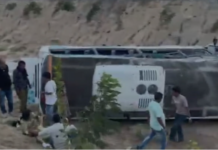 Tragedy On Dholera Expressway: ખુશીનો પ્રસંગ માતમમાં ફેરવાયો! અમદાવાદ-ધોલેરા એક્સપ્રેસ હાઈવે પર ભાવનગરના પરિવારની લક્ઝરી બસ પલટી, 1નું મોત, 15થી વધુ ઇજાગ્રસ્ત Tragedy On Dholera Expressway
