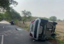 Road Mishap in Savli: સાવલીના નિઝામપુર પાસે કાર અને ગાય વચ્ચે ગમખ્વાર અકસ્માત, ગાયનું મોત, એક ઈજાગ્રસ્ત Road Mishap in Savli