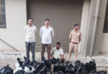 Liquor Den Inside Secret Basement: વડોદરામાં બુટલેગરોની નવી તરકીબ: ઘરમાં જ ગુપ્ત ભોંયરું બનાવી ચાલતો હતો દારૂનો વેપલો, LCB ઝોન-3એ ₹3.26 લાખનો જથ્થો ઝડપ્યો Liquor Den Inside Secret Basement