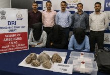 Surat DRI Crackdown: બ્રેકિંગ ન્યૂઝ સુરતમાં અઢી કિલો જેટલા પ્રતિબંધિત ‘એમ્બરગ્રીસ’ સાથે ત્રણ આરોપીઓ દબોચાયા; DRIની ઊંડી તપાસ શરૂ. Surat DRI Crackdown