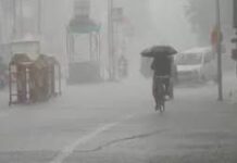 Gujarat Weather Update: ગુજરાતમાં ચોમાસા પૂર્વેની હલચલ તેજ, આગામી 5 દિવસ હળવાથી મધ્યમ વરસાદની આગાહી, આજે 6 જિલ્લામાં ઓરેન્જ એલર્ટ Gujarat Weather Update