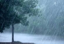 Gujarat Weather Update: ગુજરાતમાં અસહ્ય ઉકળાટ વચ્ચે ચોમાસાની પ્રતીક્ષા, દક્ષિણ ગુજરાતમાં ધોધમાર, 23 જૂનથી ચોમાસું આગળ વધશે Gujarat Weather Update