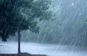Gujarat Weather Update Gujarat Weather Update