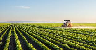 Farmers Protest in Sanand