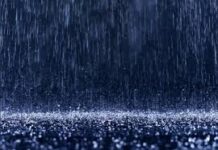 Monsoon Arrives in India: દેશમાં ચોમાસાની ધમાકેદાર એન્ટ્રી, કેરળ પહોંચ્યા મેઘરાજા; ગુજરાત સહિત 24 રાજ્યોમાં ભારે વરસાદ-વાવાઝોડાની આફત Monsoon Arrives in India