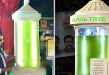 Smart Pollution Solution: વિજ્ઞાનનો ચમત્કાર: દેશનું પહેલું ‘શેવાળનું વૃક્ષ’ (Algae Tree) ભોપાલમાં શરૂ; ૧ મશીન આપશે ૨૫ મોટા ઝાડ જેટલો ઓક્સિજન! Smart Pollution Solution