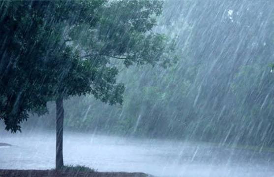 Gujarat Rain Update Gujarat Rain Update