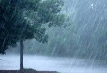 Gujarat Monsoon Update: ગુજરાતમાં મેઘરાજાની ધમાકેદાર એન્ટ્રી, નર્મદામાં પ્રચંડ 3.35 ઈંચ વરસાદ સાથે નદીઓમાં ઘોડાપૂર, આગામી 48 કલાક ભારે! Gujarat Monsoon Update