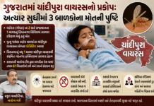 Rising Threat of Chandipura Virus: ગુજરાતમાં ચાંદીપુરા વાયરસનો પ્રકોપ: ૩ બાળકોના મોતથી ફફડાટ, આરોગ્ય તંત્ર એલર્ટ Rising Threat of Chandipura Virus