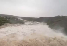 Monsoon Fury in Gujarat: ગુજરાત પર મેઘરાજાનો પ્રકોપ, ૨૪ કલાકમાં ૧૬૪ તાલુકા તરબતર, અમરેલીમાં ૨૭ ઇંચ સાથે જળબંબોળ Monsoon Fury in Gujarat