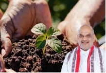 Mission Green:અમદાવાદ હવે વધુ હરિયાળું: અમિત શાહના હસ્તે 101 ઓક્સિજન પાર્કનું લોકાર્પણ, એક જ દિવસમાં 1.25 કરોડ વૃક્ષારોપણનો ભગીરથ સંકલ્પ