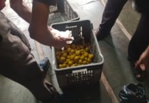 Drive Against Unsafe Food: મનપાની ફૂડ શાખાની લાલ આંખ; 75 કિલો વાસી અને અખાદ્ય ખાદ્ય સામગ્રીનો નાશ Drive Against Unsafe Food