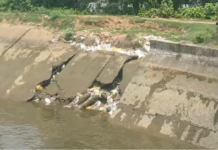Disaster in Anand: ઉમરેઠના બેચરી હમીદપુરામાં મહી કેનાલ તૂટી, ૫૦૦ વીઘા પાક પાણીમાં ગરકાવ Disaster in Anand
