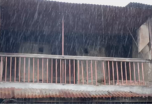 Monsoon Magic in Vadodara: વડોદરાના સાવલી પંથકમાં મેઘરાજાની ધમાકેદાર એન્ટ્રી: ધોધમાર વરસાદથી વાતાવરણમાં ઠંડક, ખેડૂતોમાં ખુશીની લહેર Monsoon Magic in Vadodara
