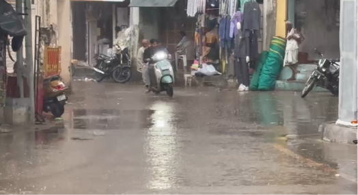 Monsoon Magic in Vadodara