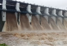 Surat Monsoonal Update: સુરત જિલ્લાના જળાશયોમાં પાણીની ભારે આવક, માંડવીના આમલી ડેમના ૭ દરવાજા ખોલાયા Surat Monsoonal Update
