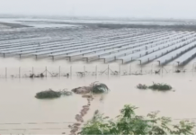 Torrential Rains Paralysis Gujarat: ચારણકા સોલાર પાર્ક ડૂબ્યો, 6 ટ્રેનો રદ્દ અને 202 તાલુકામાં ખાબક્યો વરસાદ Torrential Rains Paralysis Gujarat