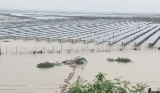 Torrential Rains Paralysis Gujarat Torrential Rains Paralysis Gujarat