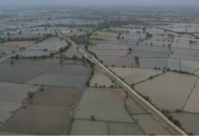Flood-Like Situation in Patan’s Radhanpur: રાધનપુરમાં અનરાધાર વરસાદથી તારાજી; હજારો વીઘામાં વાવેતર નિષ્ફળ જતાં ખેડૂતો પાયમાલ Flood-Like Situation in Patan’s Radhanpur
