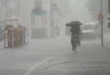 Monsoon Fury in Gujarat: ગુજરાતમાં મેઘતાંડવ, નવસારી-વલસાડમાં પૂરની વિકટ સ્થિતિ, ૧૧ જિલ્લામાં રેડ એલર્ટ અને ૬ જિલ્લામાં શાળાઓ-કોલેજો બંધ Monsoon Fury in Gujarat
